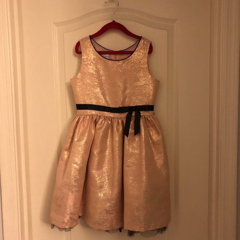 Fancy Metallic Shiny Dress